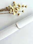 ANEL SOLITÁRIO LISO